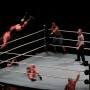 Tag Team-Match mit Flughörnchen